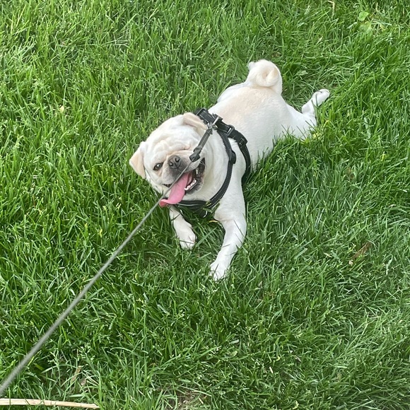 Meet your Posher, Marina - Picture 3 of 4